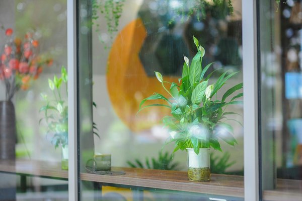 Transformer sa pratique de médecine générale à l'ère de la téléconsultation : Guide essentiel pour les médecins